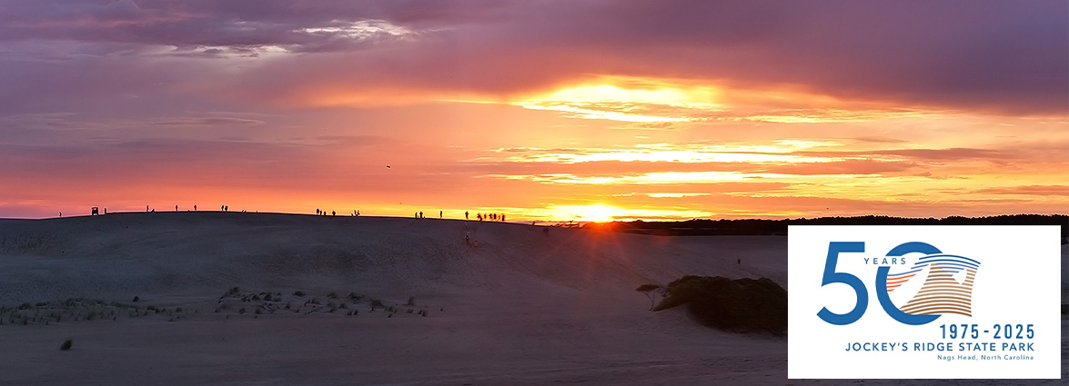 Jockey's Ridge State Park