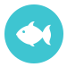 True Grit Sportfishing Fishing Reports