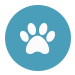 Cola Vaughan Realty Pet Friendly Rentals