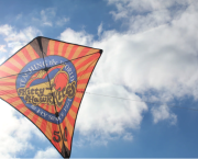 50th Anniversary Prism Vertex Diamond Kite - Kitty Hawk Kites