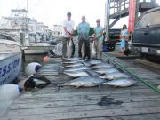 Pirate's Cove Marina, Blowingn in Tuna