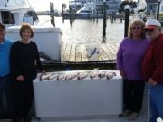 Pirate's Cove Marina, Striper!