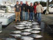 Pirate's Cove Marina, Yellowfin Tuna!