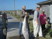 Oregon Inlet Fishing Center, 4-6-15