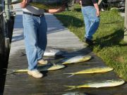 Oregon Inlet Fishing Center, Fishing Report Monday 5-4-15