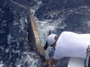 TW’s Bait & Tackle, TW's Daily Fishing Report. 9/29/15