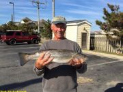 TW’s Bait & Tackle, TW's Daily Fishing Report. 11/14/15