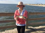 TW’s Bait & Tackle, TW's Daily fishing Report. 10/19/15