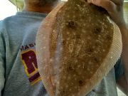 TW’s Bait & Tackle, TW's Daily Fishing Report