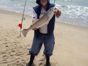 TW’s Bait & Tackle, TW's Daily fishing Report. 5/1/15
