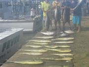 TW’s Bait & Tackle, TW's Daily Fishing Report. 6/5/15