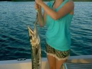 TW’s Bait & Tackle, TW's Daily Fishing Report
