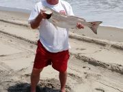 TW’s Bait & Tackle, TW's Daily Fikshing Report. 8/1/15