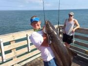 TW’s Bait & Tackle, TW's Daily Fishing Report. 9/22/15