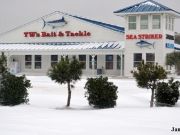 TW’s Bait & Tackle, TW's Daily fishing Report. 1/31/15