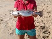 TW’s Bait & Tackle, TW's Daily fishing Report. 5/12/15