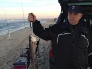 TW’s Bait & Tackle, TW's Daily Fishing Report