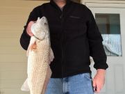 TW’s Bait & Tackle, TW's Daily Fishing Report. 1/1/15