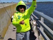 TW’s Bait & Tackle, TW's Daily fishing Report. 4/6/15