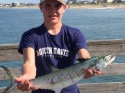 TW’s Bait & Tackle, TW's Daily Fishing Report. 6/16/15
