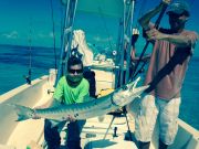 TW’s Bait & Tackle, TW's Daily Fishing Report- 03/26/2015