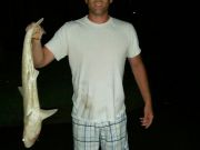 TW’s Bait & Tackle, TW's Daily fishing Report. 7/16/15