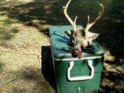 TW’s Bait & Tackle, TW’s Daily fishing Report. 11/3/14