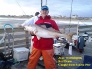 TW’s Bait & Tackle, TW’s Daily fishing Report. 10/5/14