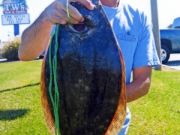 TW’s Bait & Tackle, TW’s Daily fishing Report. 10/11/14