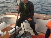 TW’s Bait & Tackle, TW's Daily Fishing Report. 2/14/16