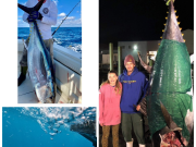 Oceans East Bait & Tackle Nags Head, A 732lb Bluefin, nice Bigeye, and an amazing underwater shot!!