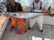 TW’s Bait & Tackle, Giant Blue Fin Tuna Showed Up
