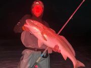 Fishing Unlimited Outer Banks Boat Rentals, Puppy Drum Fishing Is Picking Up