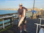 Fishing Unlimited Outer Banks Boat Rentals, Bluefish Of All Sizes