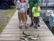 Fishing Unlimited Outer Banks Boat Rentals, Really Big Croakers