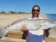 Oceans East Bait & Tackle Nags Head, Sunday Drum-day
