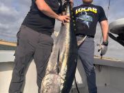 TW’s Bait & Tackle, Unbelievable Tuna Bite