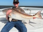 TW’s Bait & Tackle, Nice Drum Around the Inlet