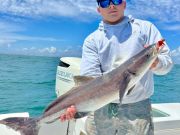 TW’s Bait & Tackle, Cobia Are Still Here!