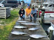 Oregon Inlet Fishing Center, Yellow Fin Tuna