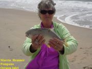 TW’s Bait & Tackle, Daily Fishing Report