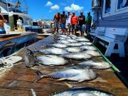 Oceans East Bait & Tackle Nags Head, Oceans East Fishing Report