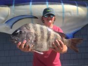 Oceans East Bait & Tackle Nags Head, Oceans East Fishing Report