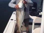 Oceans East Bait & Tackle Nags Head, Oceans East Fishing Report