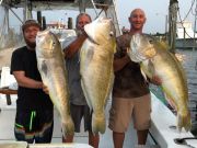 Oceans East Bait & Tackle Nags Head, Bringin' Home the GOLDENS!