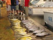 Oregon Inlet Fishing Center, You Can't Beat Fishing Out of Oregon Inlet Fishing Center