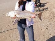 TW’s Bait & Tackle, Drum at the Point