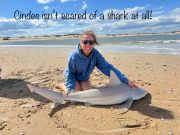 Oceans East Bait & Tackle Nags Head, Oceans East Fishing Report