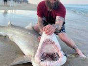 TW’s Bait & Tackle, Offshore fishing has been off the charts