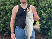 TW’s Bait & Tackle, The Speckled Trout Are Here!